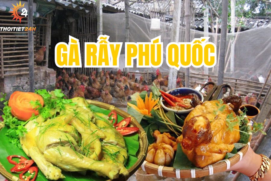 7 Quán ăn Gà Rẫy Phú Quốc chuẩn vị độc - lạ, đánh thức vị giác